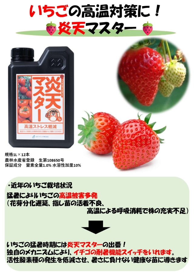【新品】　イトオテルミー　温熱療法　2箱 新品】 イトオテルミー 温熱療法 2箱